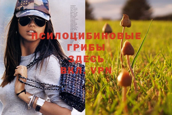 марихуана Михайловка