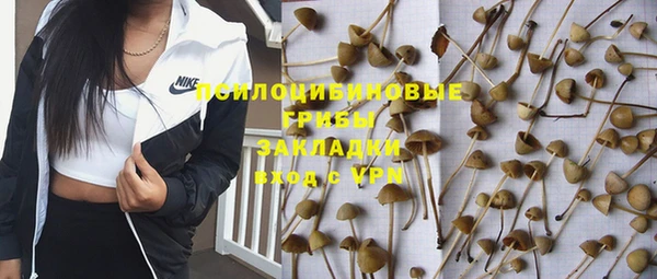 таблы Михайлов