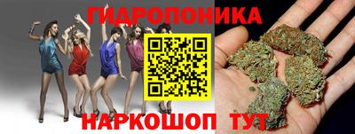 индика Заводоуковск