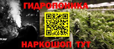 индика Заводоуковск