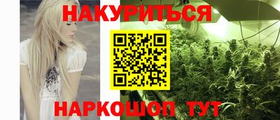 индика Заводоуковск