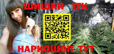 индика Заводоуковск