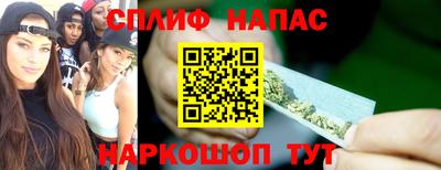 индика Заводоуковск