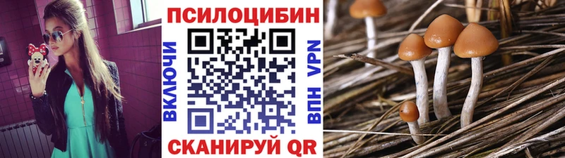 Псилоцибиновые грибы ЛСД  Череповец 