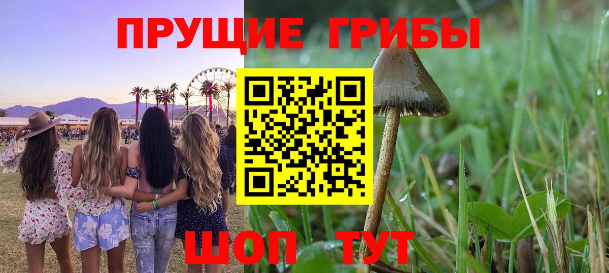 Галлюциногенные грибы MAGIC MUSHROOMS  Вход с VPN  Череповец 