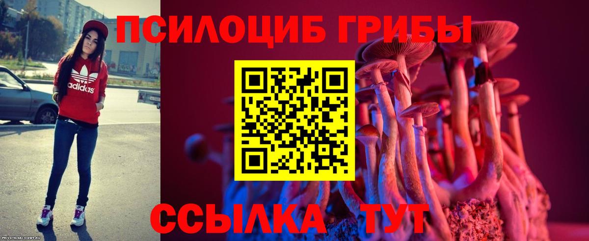 Галлюциногенные грибы Cubensis Череповец